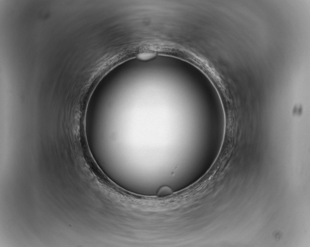 X0000099580010200805161247
