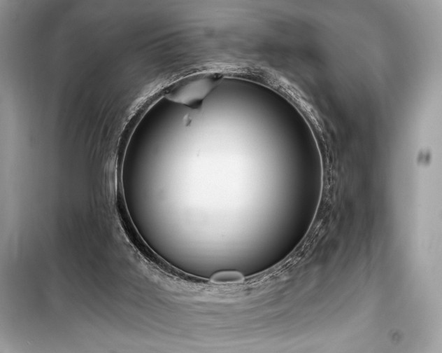 X0000099580011200805161247