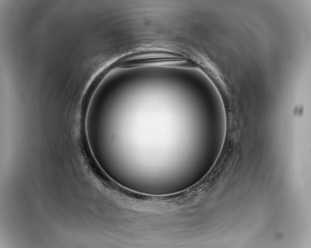 X0000099580012200805161247