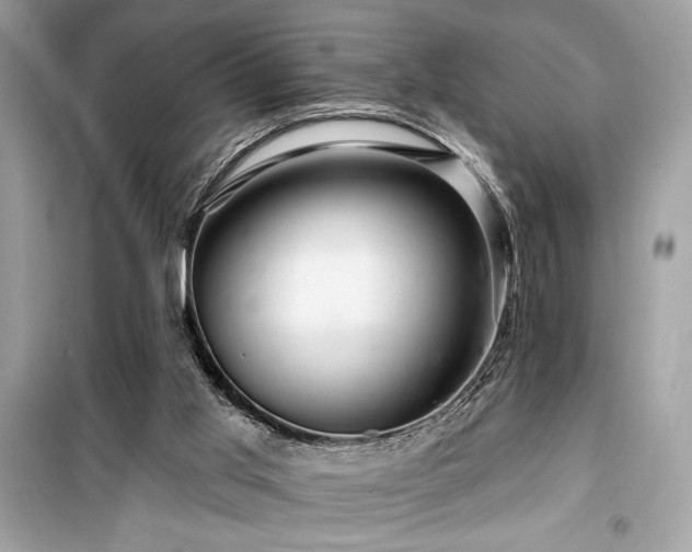 X0000099580013200805161247