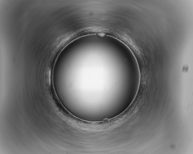 X0000099580014200805161247