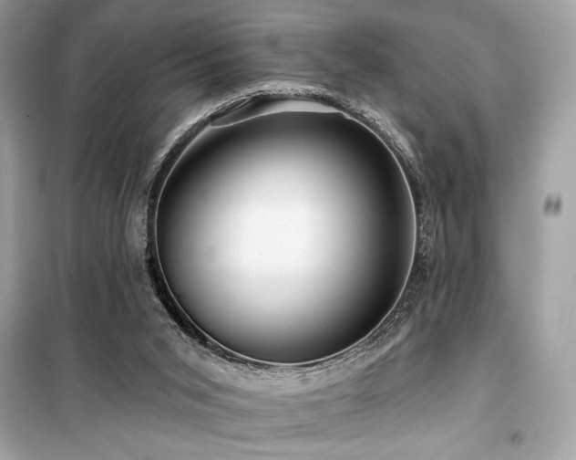 X0000099580015200805161247