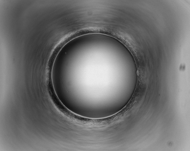 X0000099580016200805161247