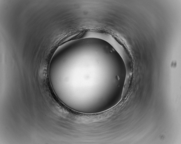 X0000099580017200805161247