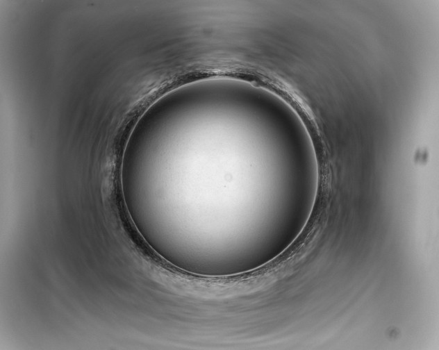 X0000099580018200805161247