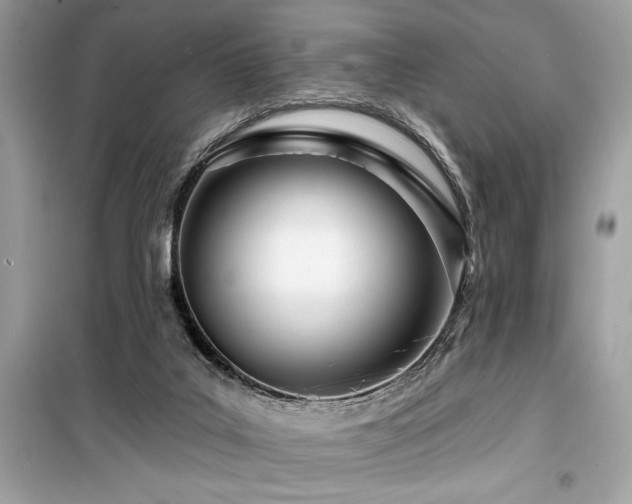 X0000099580019200805161247