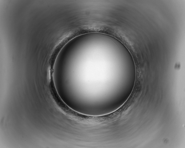 X0000099580020200805161247