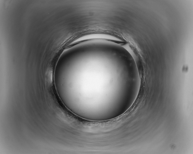 X0000099580021200805161247