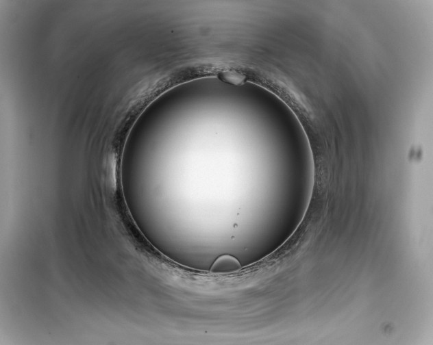 X0000099580022200805161247