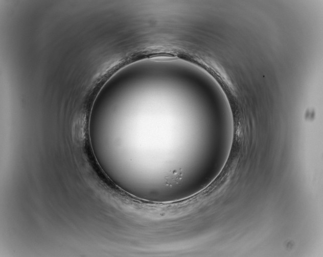 X0000099580023200805161247