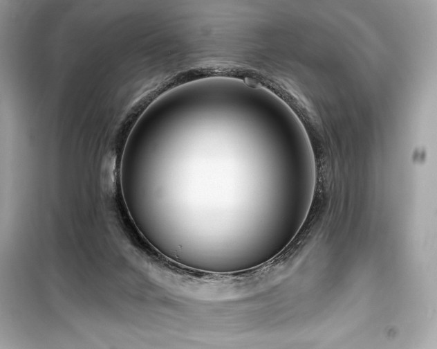 X0000099580024200805161247