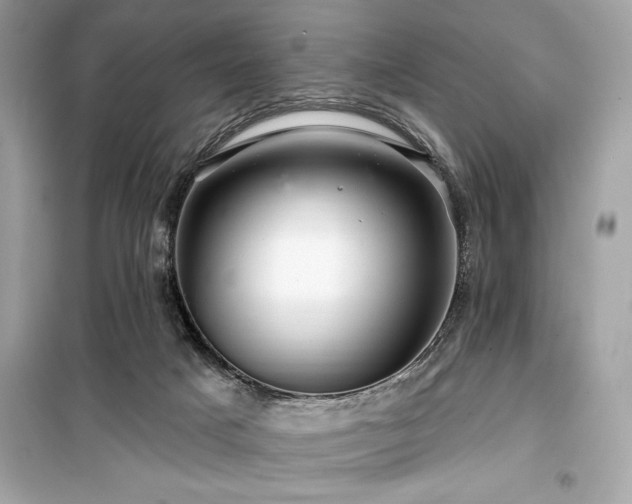 X0000099580025200805161247