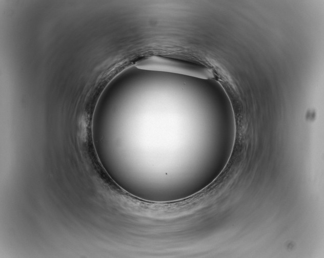 X0000099580026200805161247