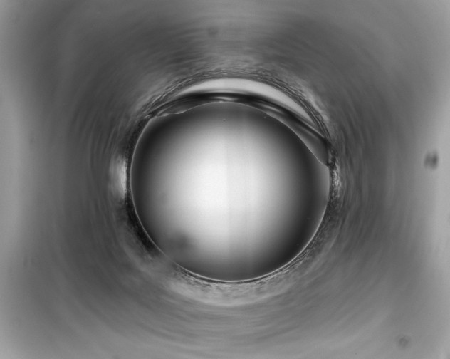 X0000099580027200805161247