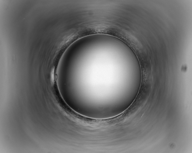 X0000099580028200805161246