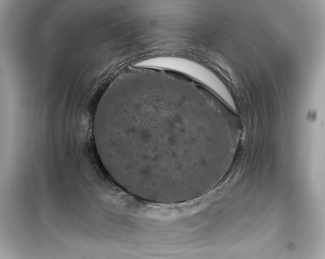 X0000099580029200805161246