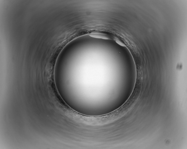X0000099580030200805161246