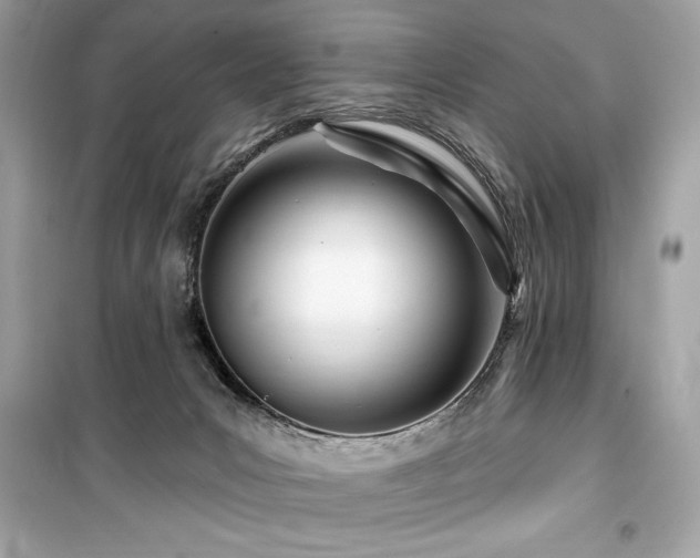 X0000099580031200805161246