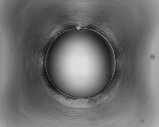 X0000099580032200805161246