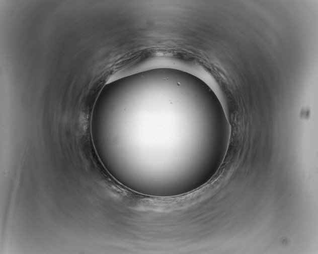 X0000099580033200805161246