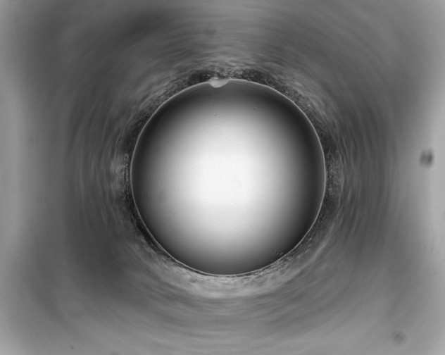 X0000099580034200805161246