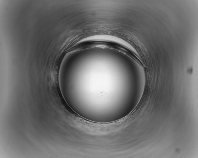 X0000099580035200805161246