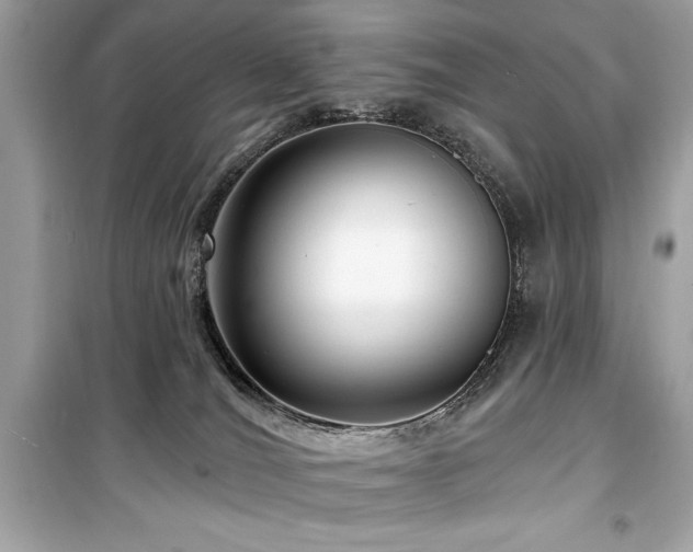 X0000099580036200805161246