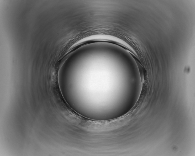 X0000099580037200805161246