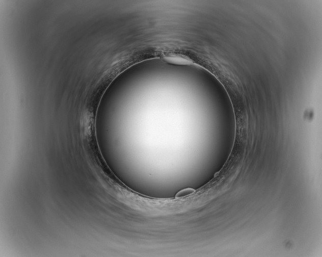 X0000099580038200805161246