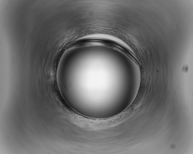 X0000099580039200805161246