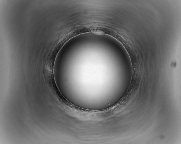 X0000099580040200805161246