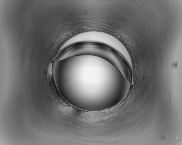 X0000099580041200805161246