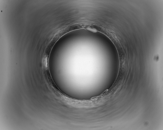 X0000099580042200805161246