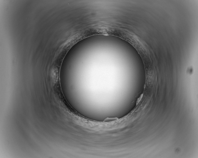 X0000099580043200805161246