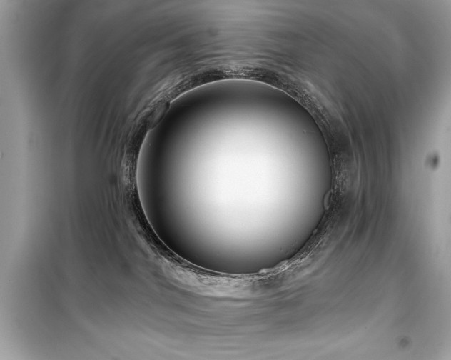 X0000099580044200805161246