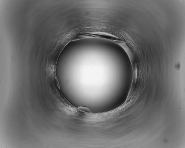 X0000099580045200805161246