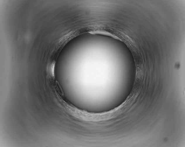 X0000099580047200805161246