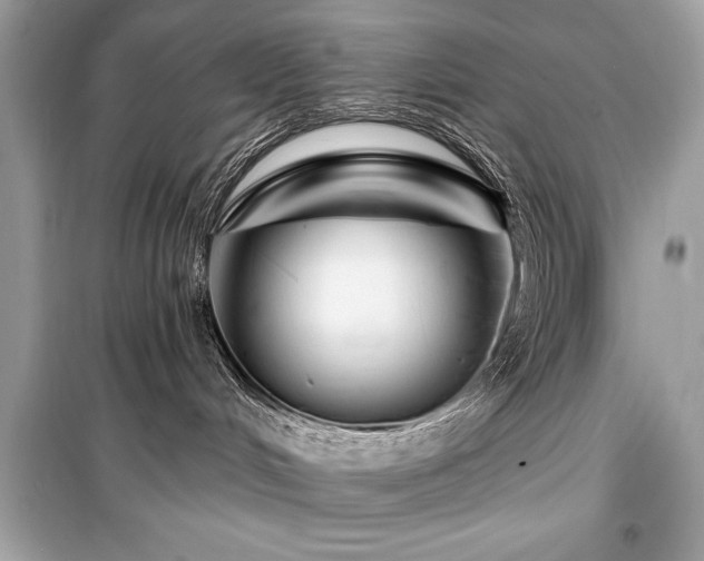 X0000099580048200805161246