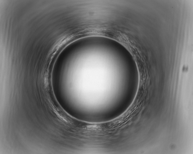 X0000099580050200805161245