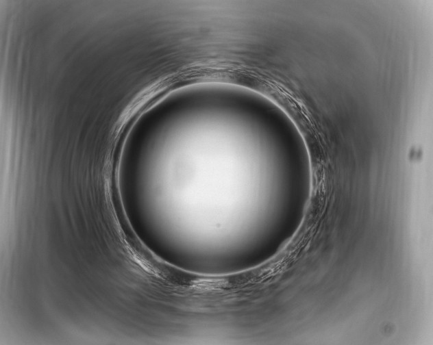X0000099580051200805161245