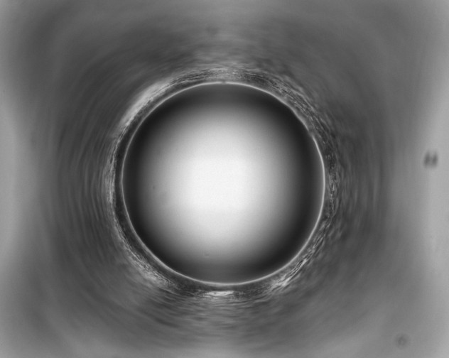 X0000099580054200805161245