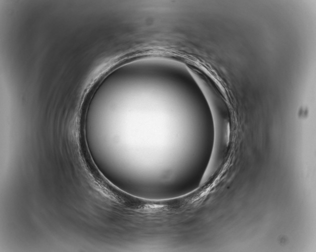 X0000099580055200805161245
