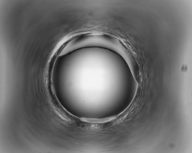 X0000099580056200805161245