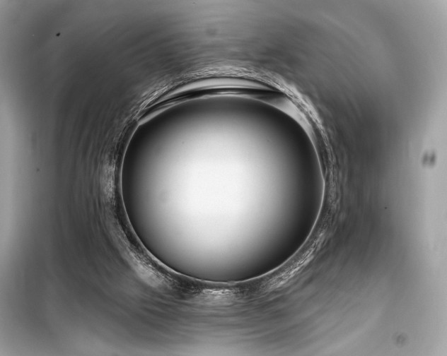 X0000099580057200805161245