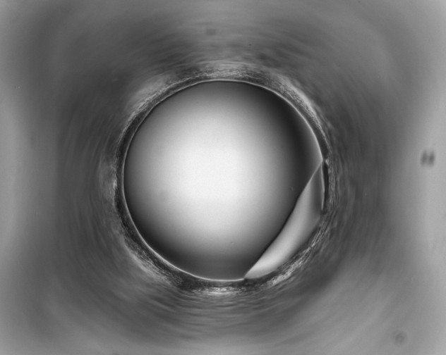 X0000099580059200805161246