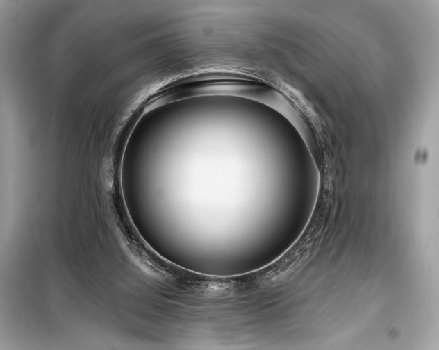 X0000099580060200805161246