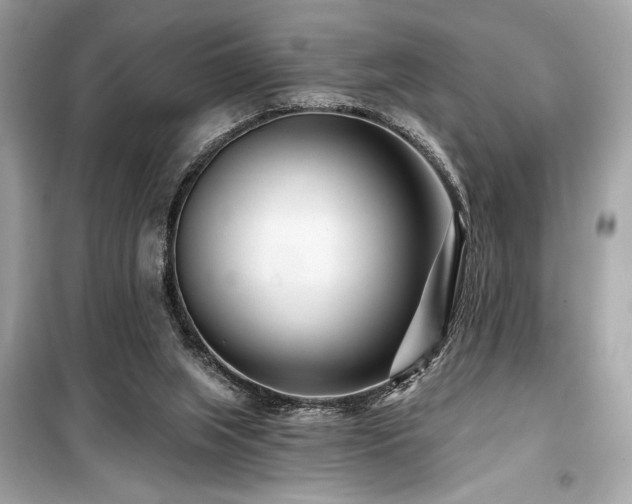 X0000099580063200805161246