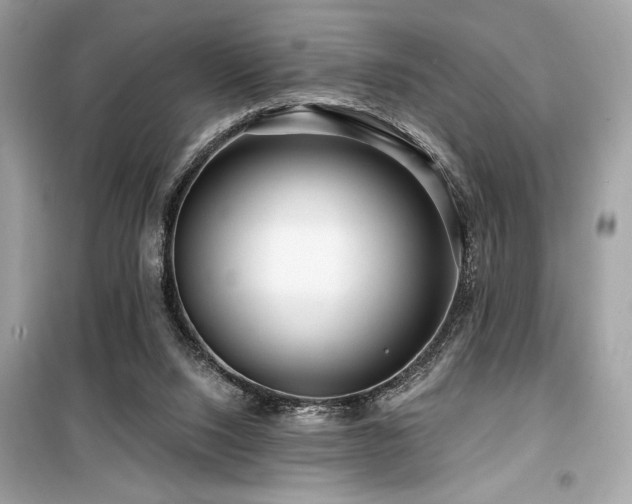 X0000099580064200805161246