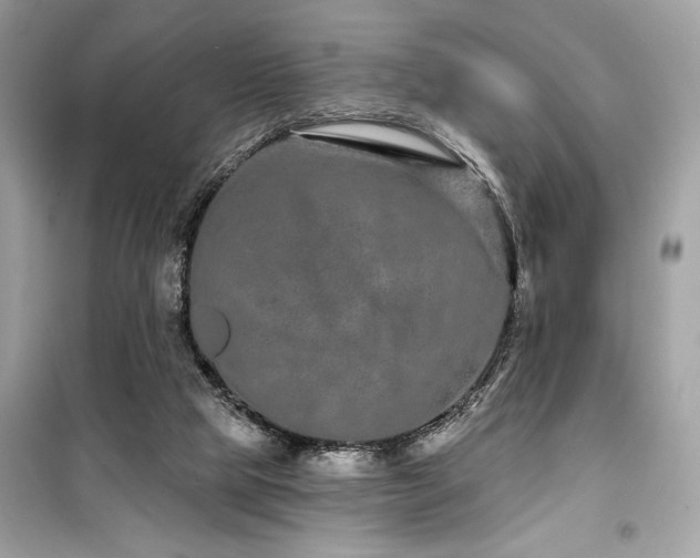 X0000099580065200805161246