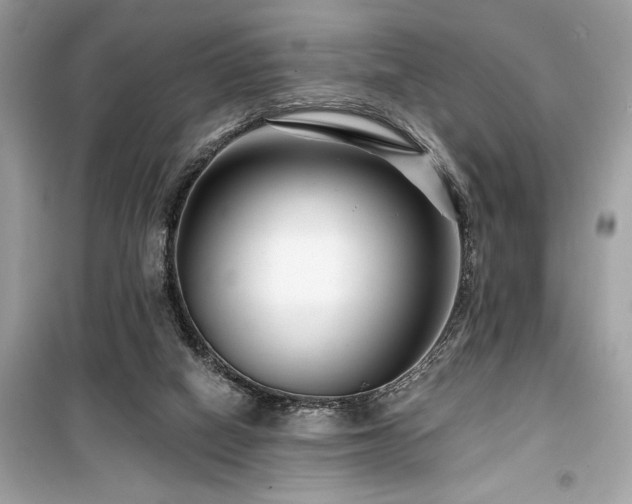 X0000099580066200805161246